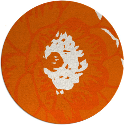 fossa rug - item 541752