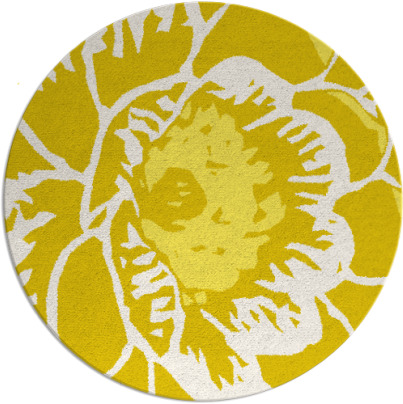 fossa rug - item 541758