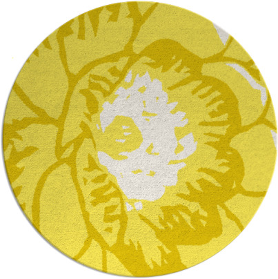 fossa rug - item 541759