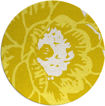 fossa rug - item 541760