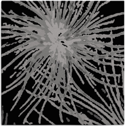 wish rug - item 545878