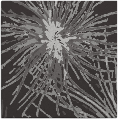 wish rug - item 545905