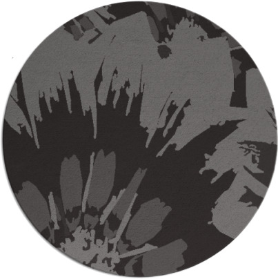 porgy rug - item 569791