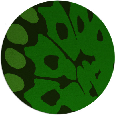 wings rug - item 592589