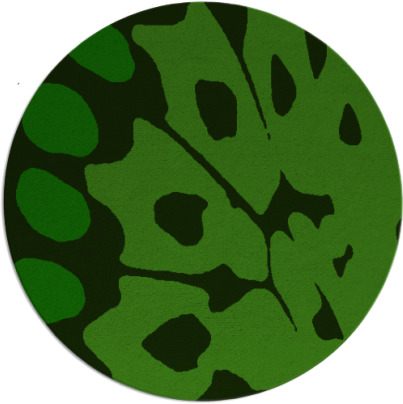 wings rug - item 592591