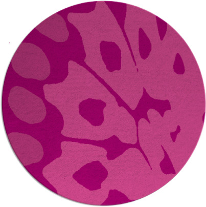 wings rug - item 592730