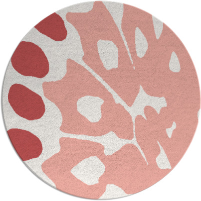 wings rug - item 592741