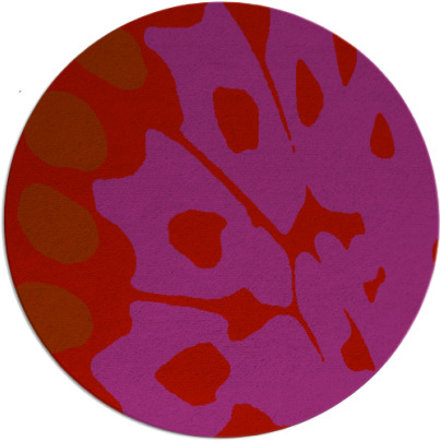 wings rug - item 592774