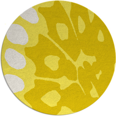 wings rug - item 592800