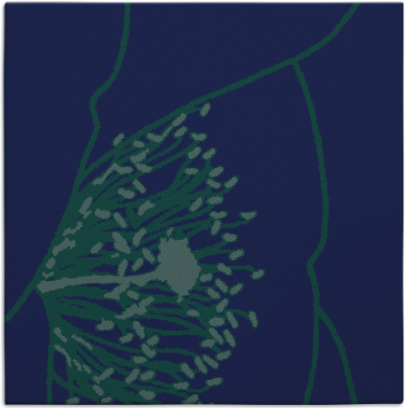 i spy rug - item 610857