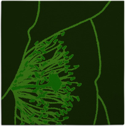 i spy rug - item 610894