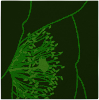 i spy rug - item 610896