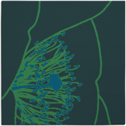 i spy rug - item 610906