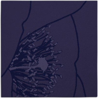 i spy rug - item 610911