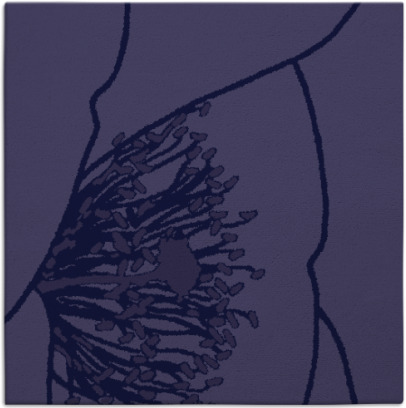 i spy rug - item 610912