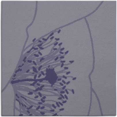 i spy rug - item 610913