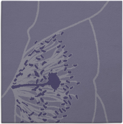 i spy rug - item 610915