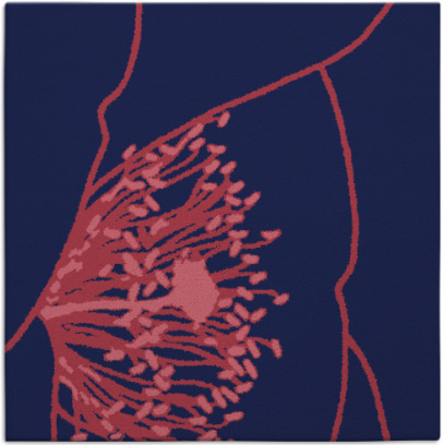 i spy rug - item 610917