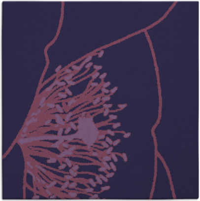 i spy rug - item 610921