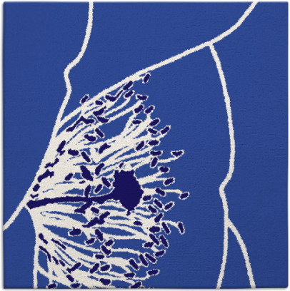 i spy rug - item 610929