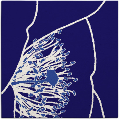 i spy rug - item 610930