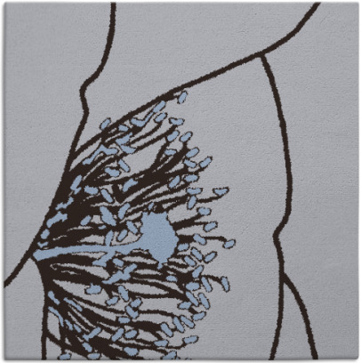 i spy rug - item 610937