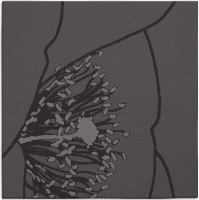 i spy rug - item 610973