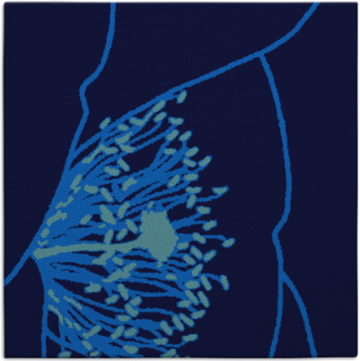 i spy rug - item 610996