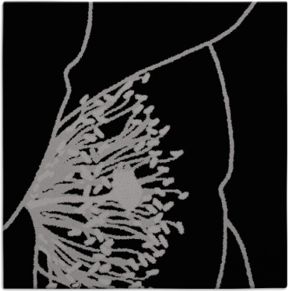 i spy rug - item 610998