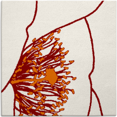 i spy rug - item 611018