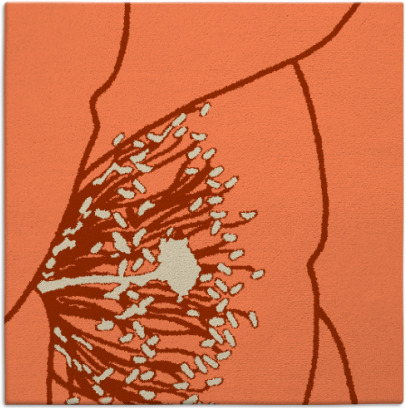 i spy rug - item 611021