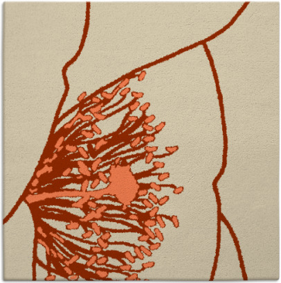 i spy rug - item 611022