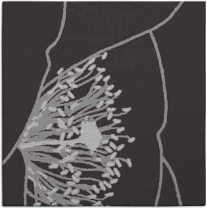 i spy rug - item 611025