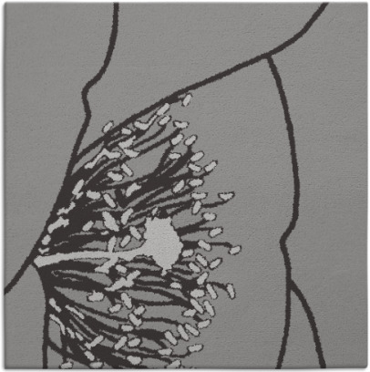 i spy rug - item 611027