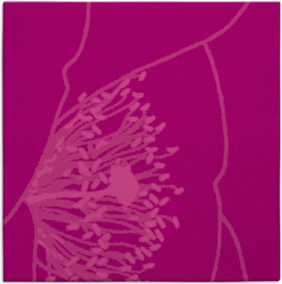 i spy rug - item 611033