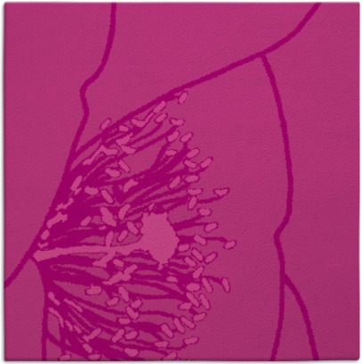 i spy rug - item 611035