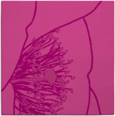 i spy rug - item 611036