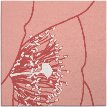 i spy rug - item 611045