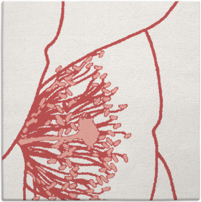 i spy rug - item 611046