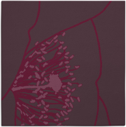 i spy rug - item 611049