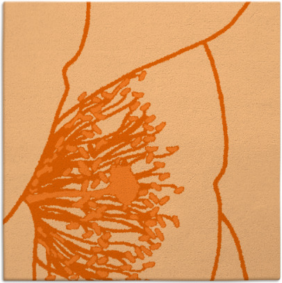 i spy rug - item 611088