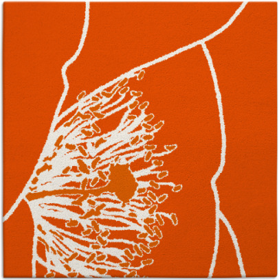 i spy rug - item 611095