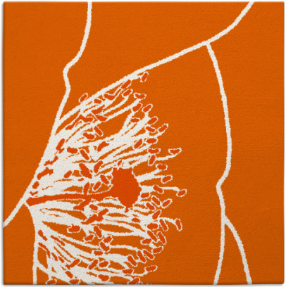 i spy rug - item 611096