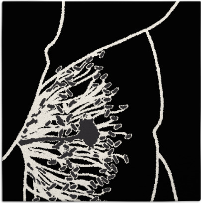 i spy rug - item 611100