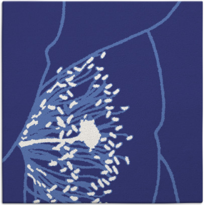 i spy rug - item 611106