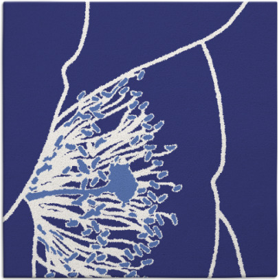 i spy rug - item 611108