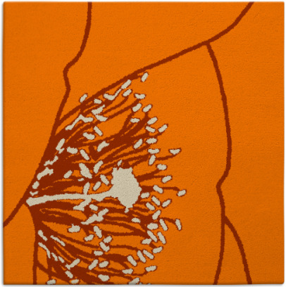 i spy rug - item 611142