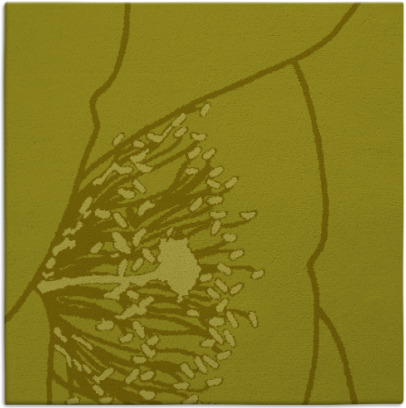 i spy rug - item 611147