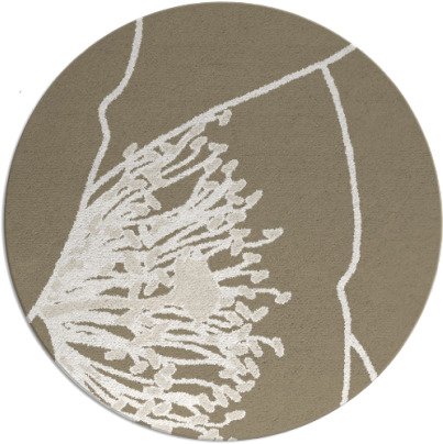 i spy rug - item 611884