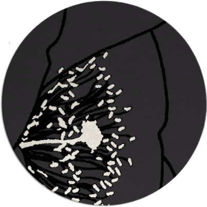 i spy rug - item 611887